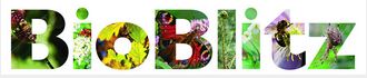 Bioblitz image.JPG