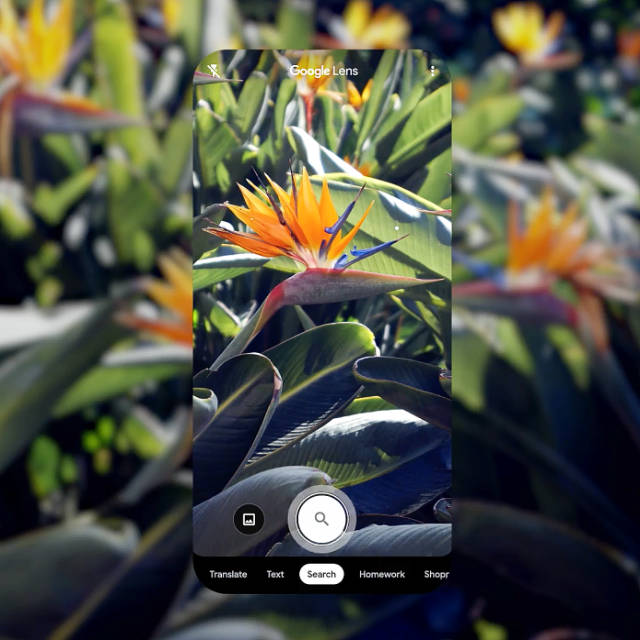 Google Lens