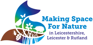 LNRS Logo